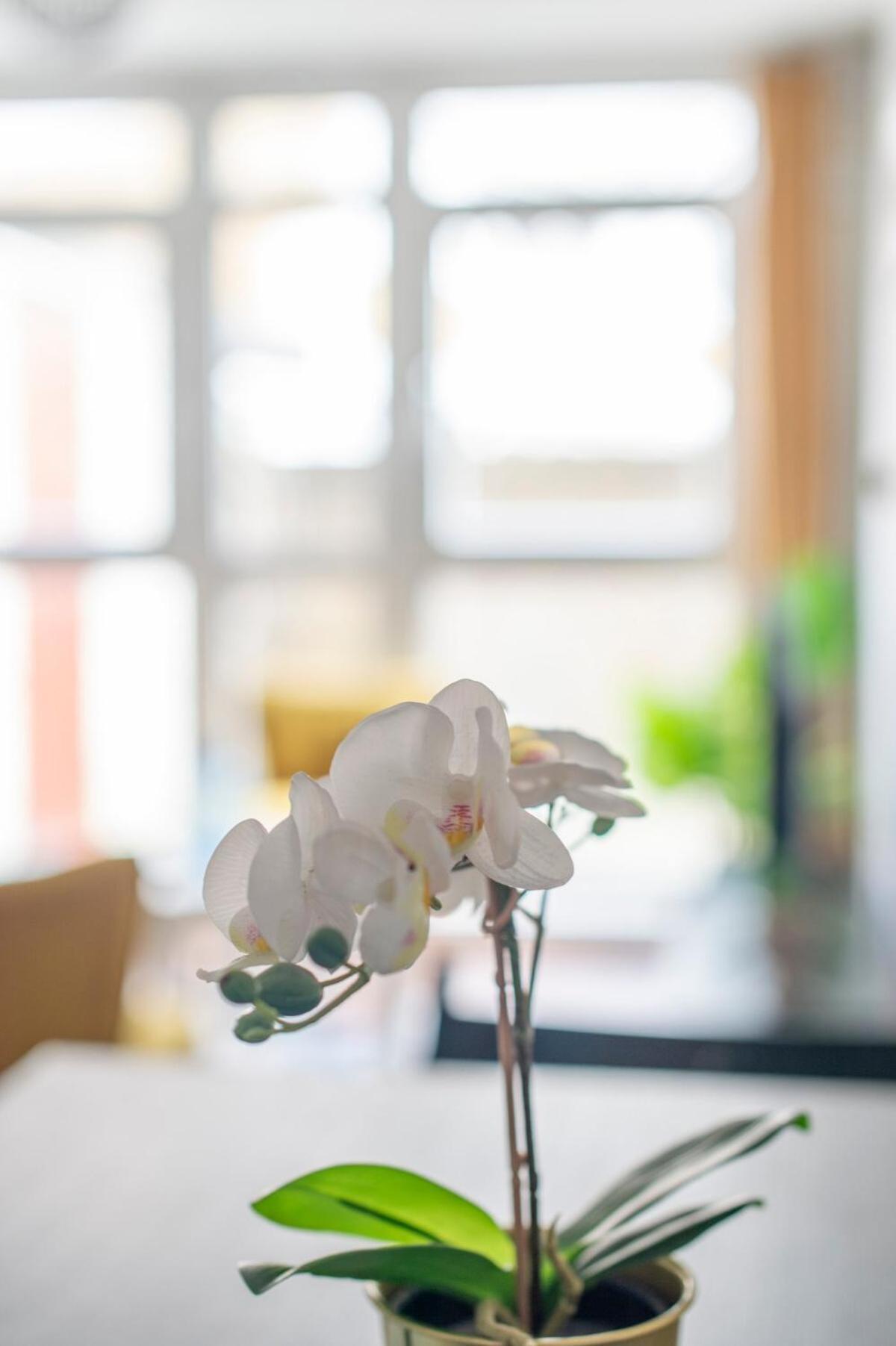 Lovely 2-Bed 20 Mins To Central لندن المظهر الخارجي الصورة